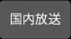 国内放送