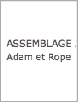 アッセンブラージュアダムエロペ