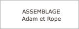アッセンブラージュアダムエロペ