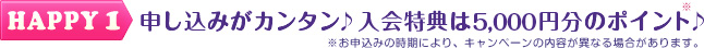 HAPPY1　申し込みがカンタン　入会特典は5,000円分のポイント