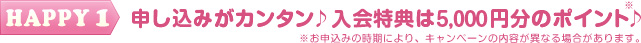 HAPPY1　申し込みがカンタン　入会特典は5,000円分のポイント