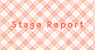 Stage Report