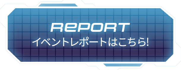 REPORT