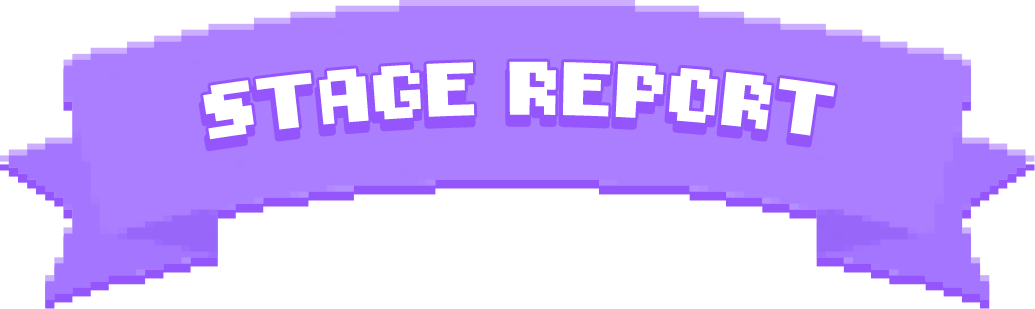 STAGE REPORT