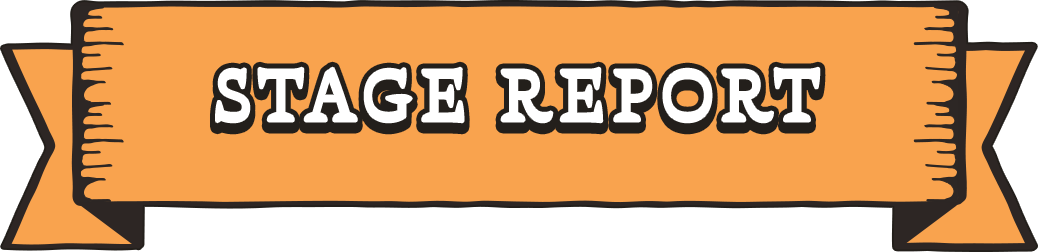 STAGE REPORT